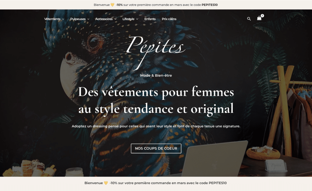 Page d'accueil du site e-commerce Pepites Parentis